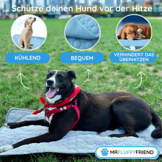 Glücklicher Hund auf einer MrFluffyFriend Kühlmatte, die zeigt, wie eine Kühlmatte für Hunde funktioniert, um Hyperthermie bei Hunden vorzubeugen