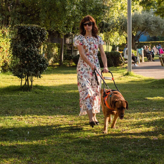 Servicehunde