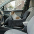 MrFluffyFriend® - Erhöhter Hundeautositz mit Sicherheitsgurt