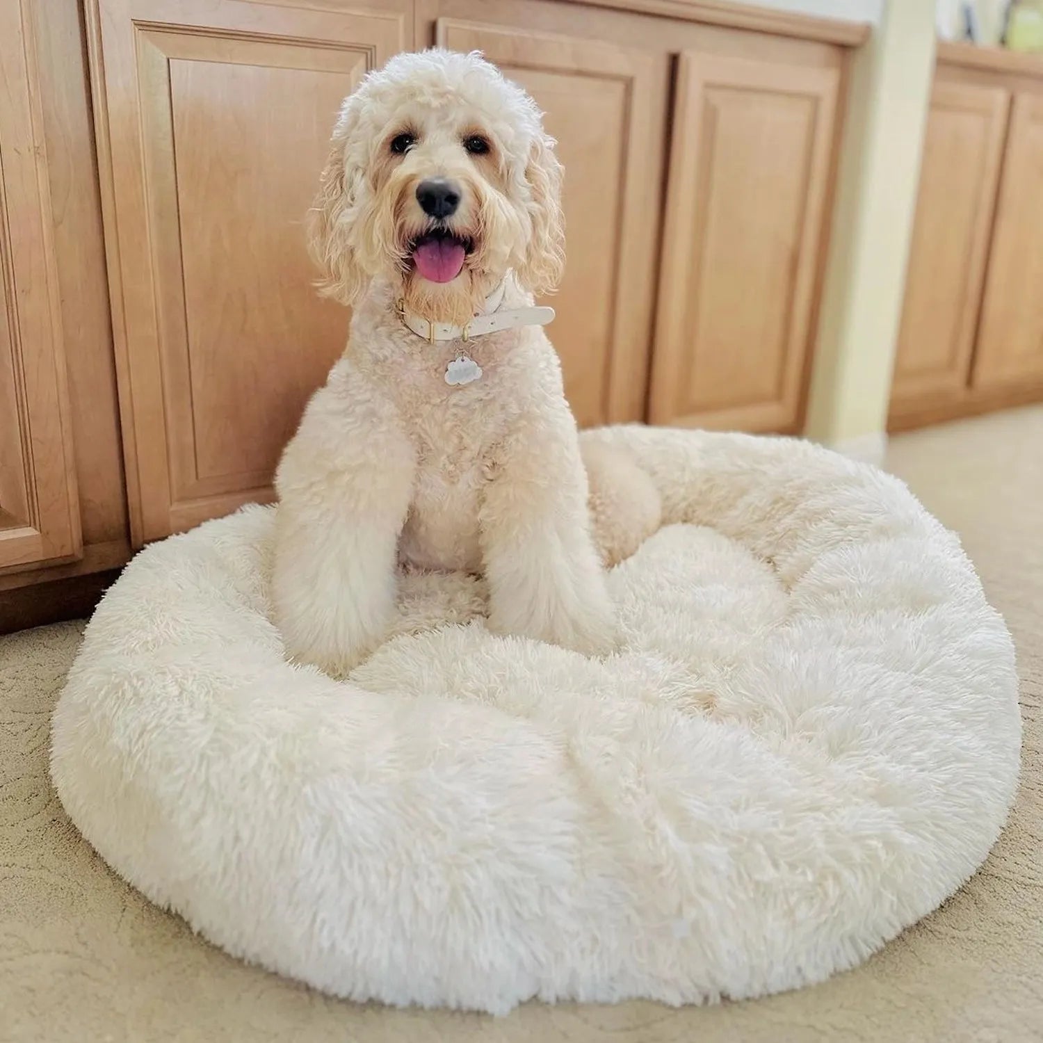 MrFluffyFriend - Weißes Hundebett