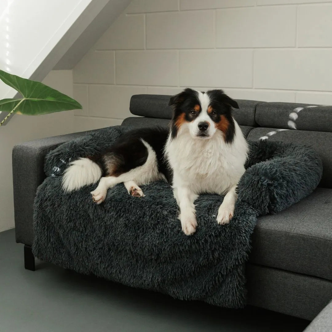 MrFluffyFriend® - Flauschiger Sofa Bezug für Haustiere