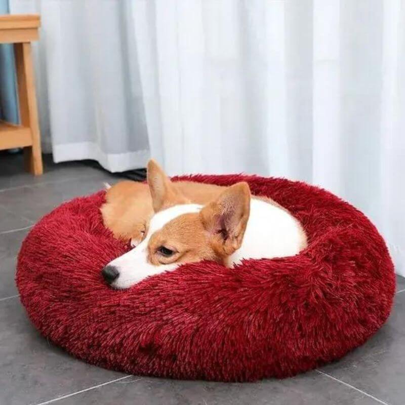 MrFluffyFriend – Rotes stressfreies Hundebett